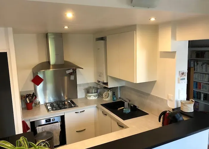 Appartement En Duplex Avec Parking Et Jardinet